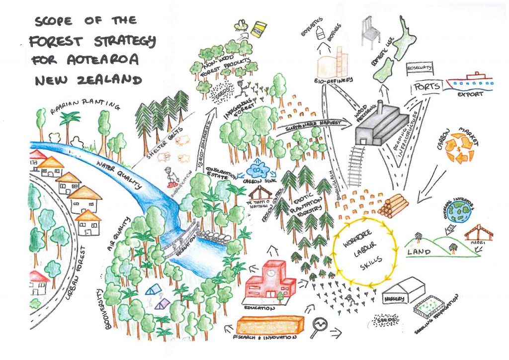 As part of an Environmental Workshop hosted by Te Uru Rākau, this picture was created to give an idea of the elements involved in New Zealand’s Forestry Strategy diagram